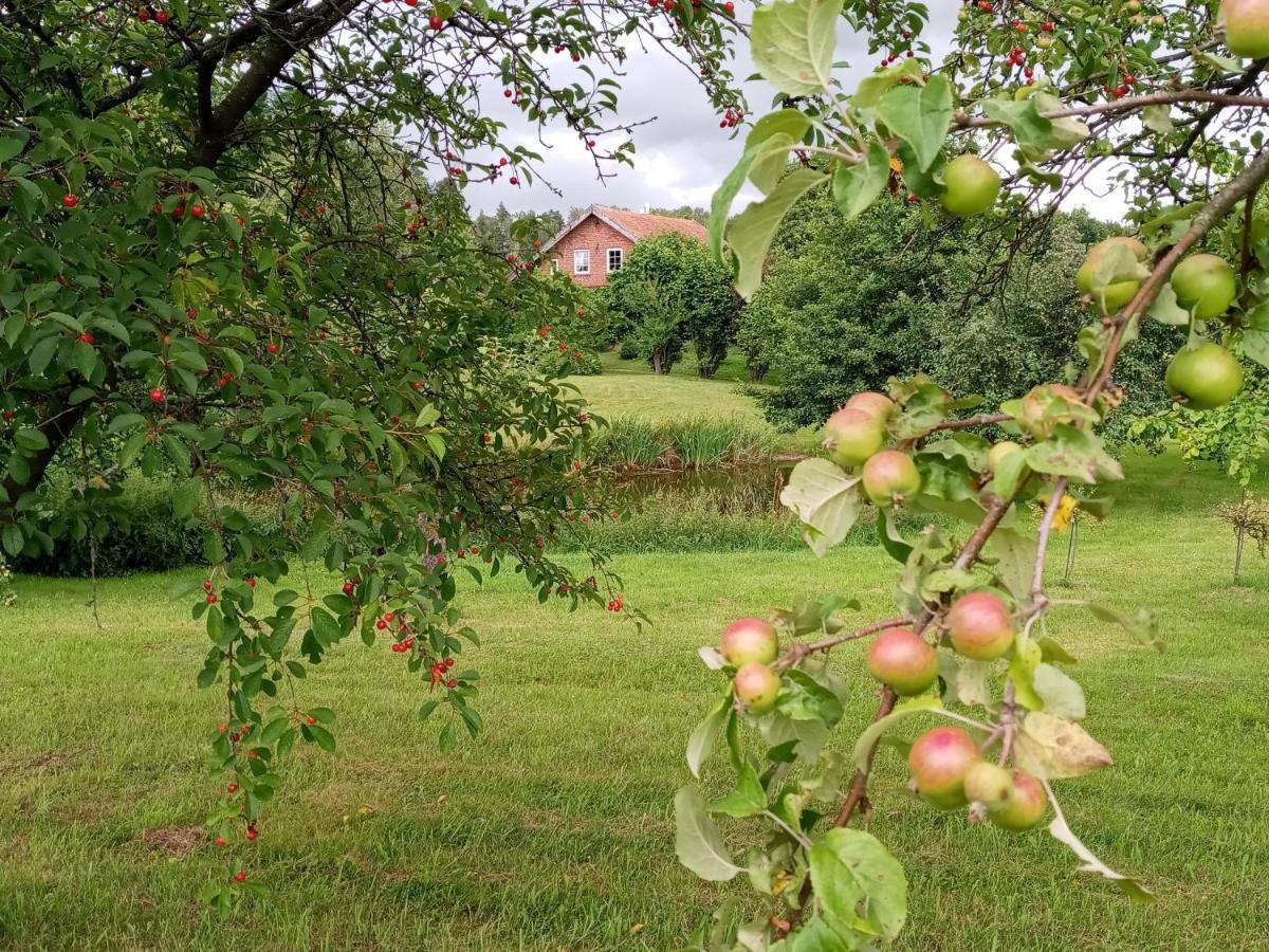Agroturystyka Pod Debem Jonkowo Kültér fotó